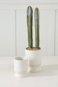 Design Shop Madison Pot with Saucer 6.75"x 8.75"