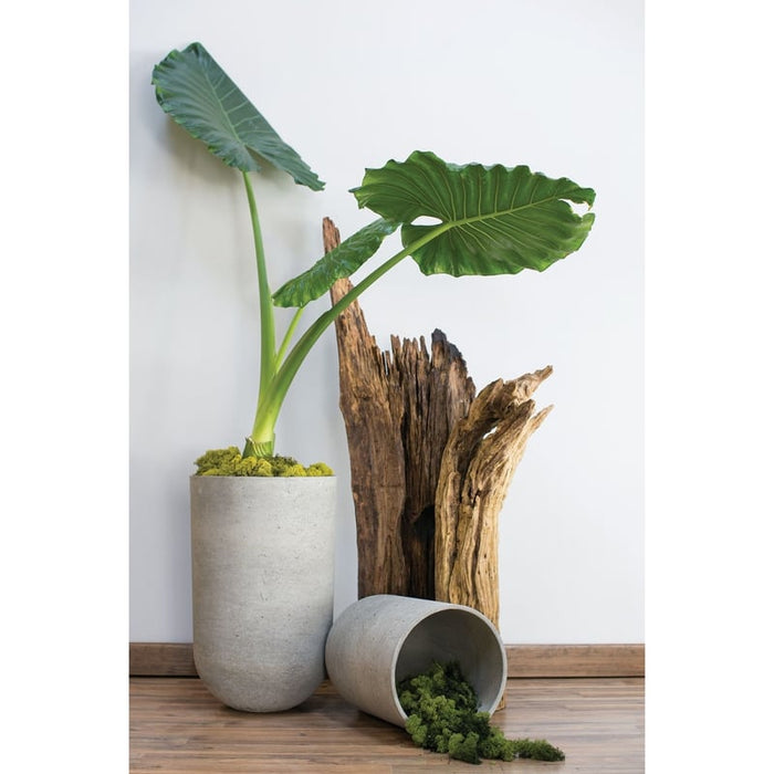 Design Shop Seaport Planter 14"