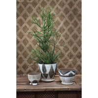 Design Shop Soma Black Terracotta Compote 6.75"