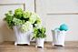 Design Shop Mellie Footed Pot 5.25"x 5", Set of 4