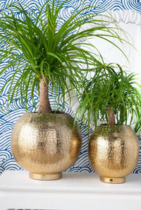 Villa & House Mali Medium Cache Pot, Brass