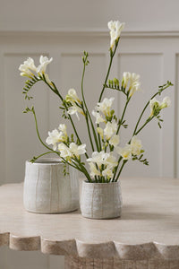 Design Shop Morgan Pot 7"x 6.5"