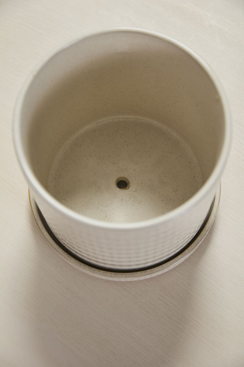 Design Shop Morse Pot with Saucer 6"x 5.5", Set of 2