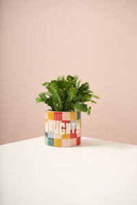 Design Shop E+E Hugger Set of 6 - 525"x 4.5"x 1.5"