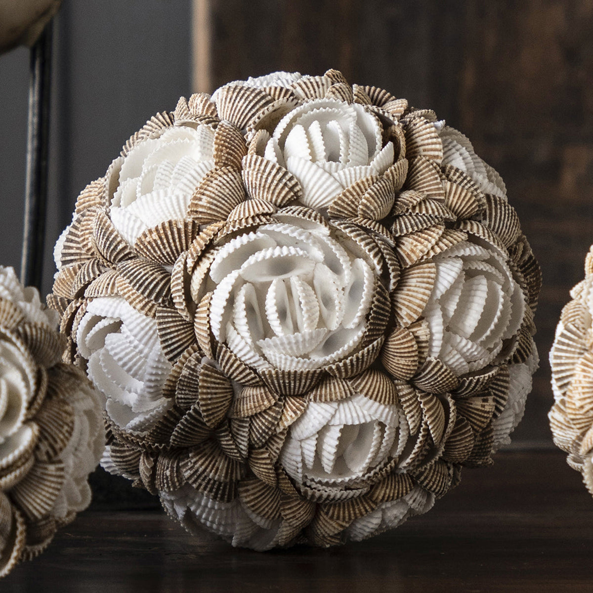 Design Shop Large Sanibel Shell Ball