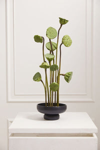 Design Shop Nightingale Compote 7.75"x 3.75", Set of 2