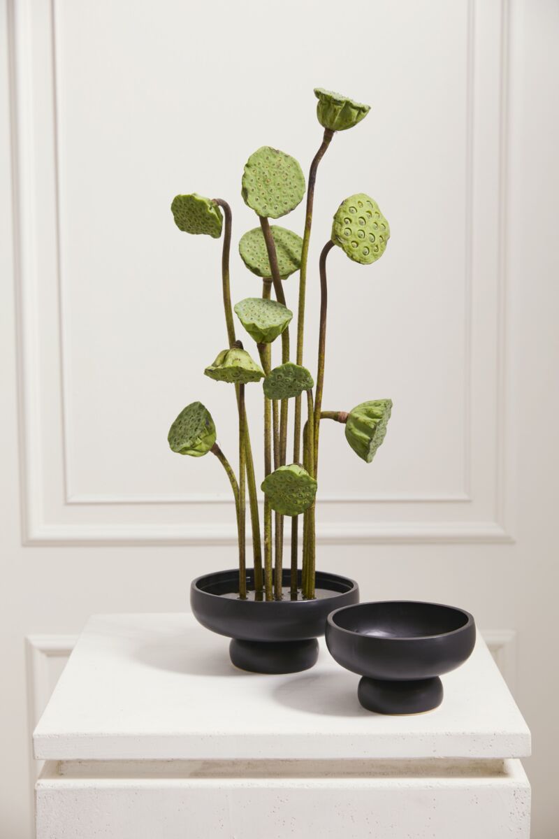 Design Shop Nightingale Compote 6.25"x 3.75", Set of 2