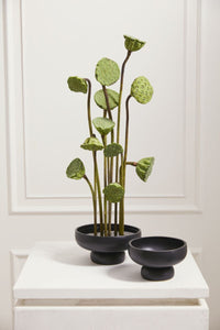 Design Shop Nightingale Compote 6.25"x 3.75", Set of 2
