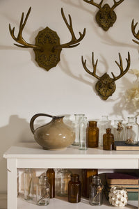 Design Shop Oakdale Antler Wall Mount 16.75"x 9"x 8.