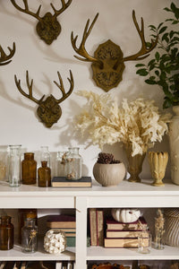 Design Shop Oakdale Antler Wall Mount 17.5"x 10.5"x 14"