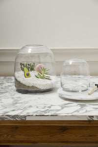 Design Shop Oliver Terrarium 6.75"x 7"