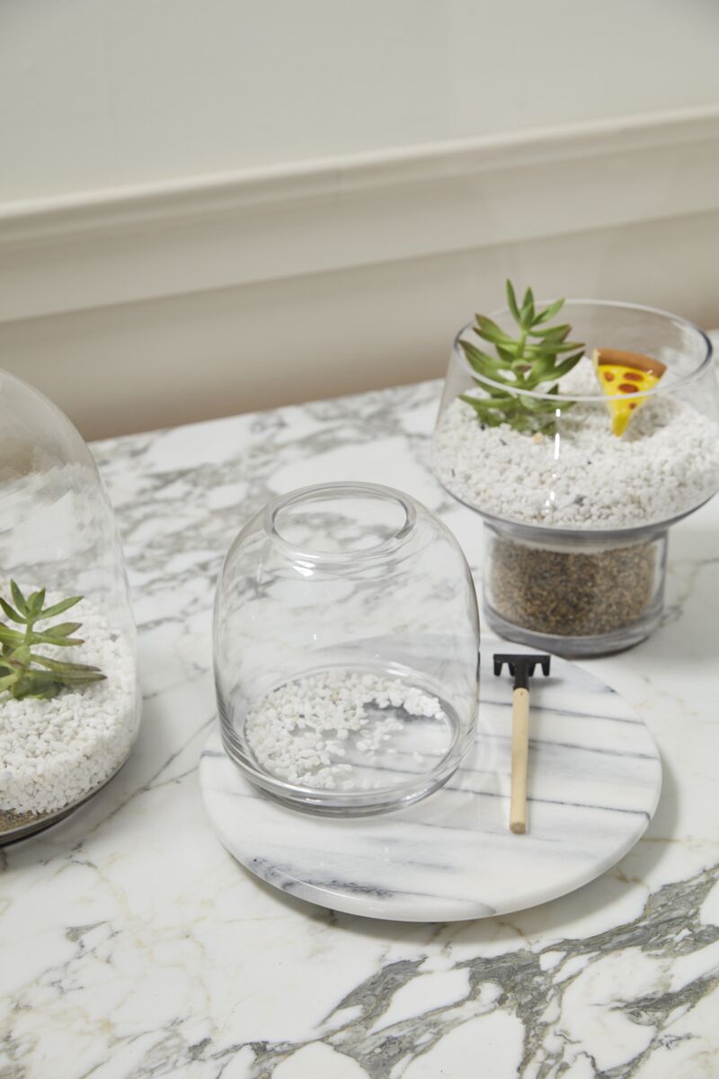 Design Shop Oliver Terrarium 10.5"x 11.25"