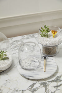 Design Shop Oliver Terrarium 6.75"x 7"