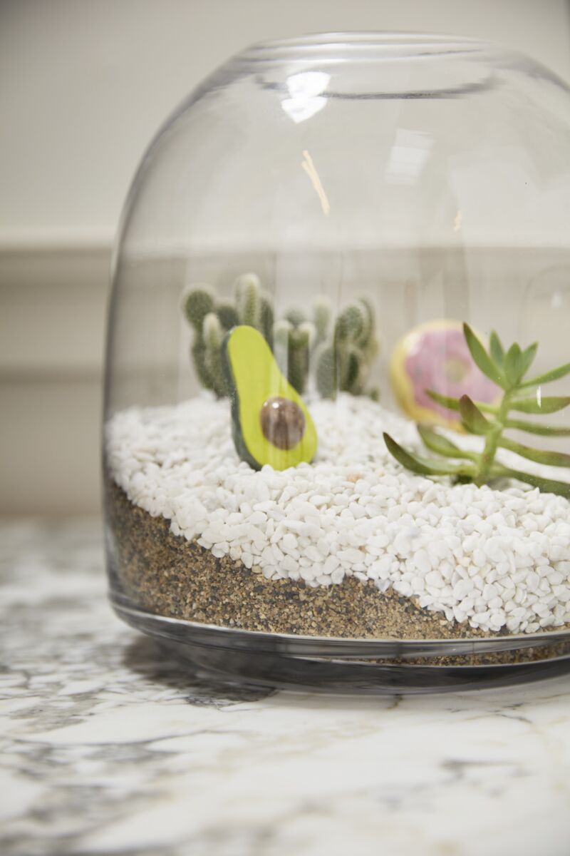 Design Shop Oliver Terrarium 10.5"x 11.25"