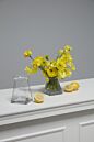Design Shop Oslo Vase 4"x 4.75"