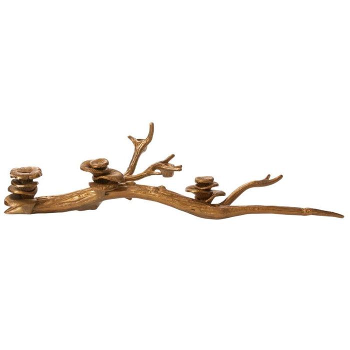 Wooden branch with natural knots on a white background
