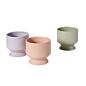 Design Shop Pasadena Pot 6.25"x 6"