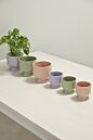 Design Shop Pasadena Pot 6.25"x 6"