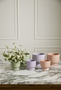 Design Shop Pasadena Pot 6.25"x 6"