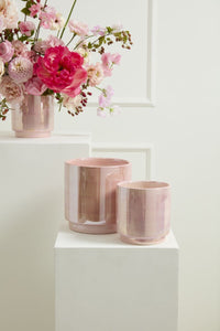 Design Shop Passion Pot 6"x 6", Set of 2