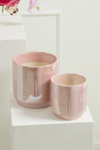 Design Shop Passion Pot 5"x 5", Set of 2