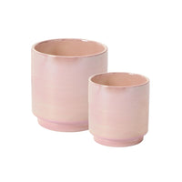 Design Shop Passion Pot 5"x 5", Set of 2