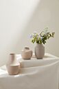 Design Shop Piedmont Budvase 3.75"x 5.5", Set of 6