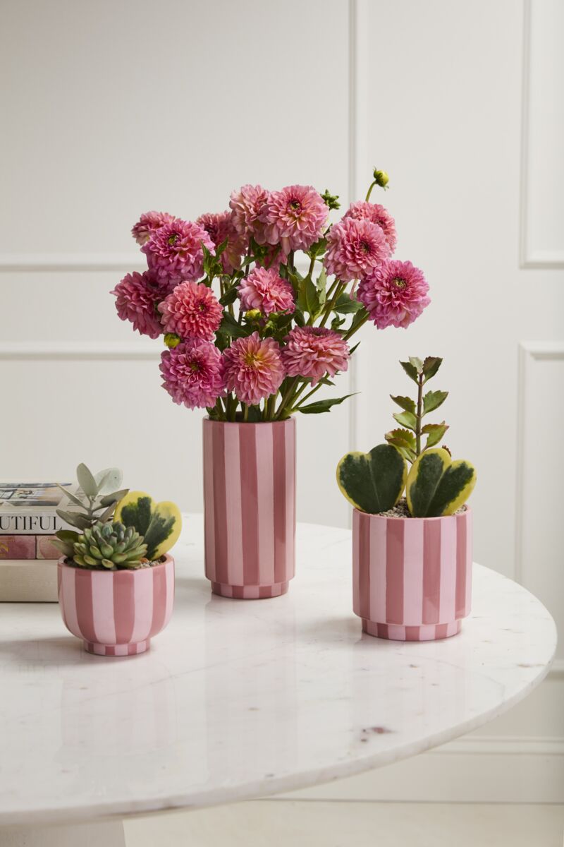 Design Shop Pink Striped Compote 4.5"x 3.5", Set of 2