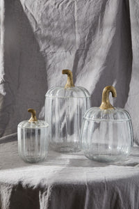 Design Shop Translucent Pumpkin Terrarium 8.75"x 12.75"