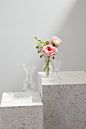 Design Shop Queensland Budvase 2.5"x 4.75", Set of 6