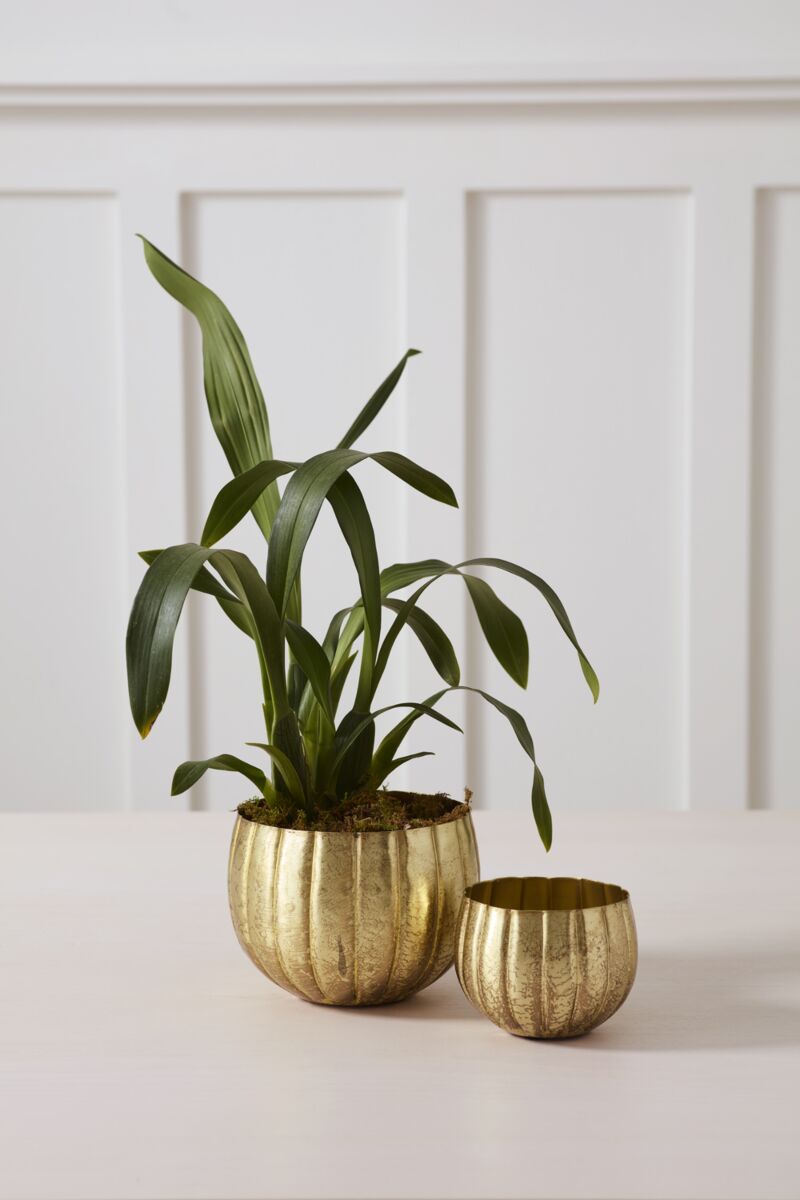 Design Shop Ravi Pot 4"x 3.5", Set of 4