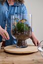 Design Shop Reservoir Terrarium 6.75"x 10"