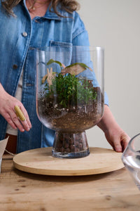 Design Shop Reservoir Terrarium 6.75"x 10"