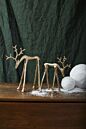 Design Shop Rex Reindeer 7"x 3"x 8.25"