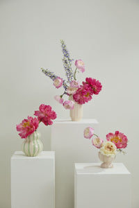 Design Shop Robbi Compote 4.75"x 4", Set of 2