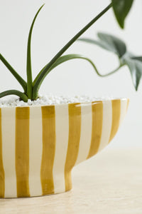 Design Shop Saffron Boat 12"x 4"x 5"