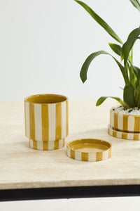 Design Shop Saffron Pot with Saucer 6.5"x 3"