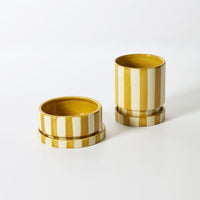 Design Shop Saffron Pot with Saucer 6.5"x 3"