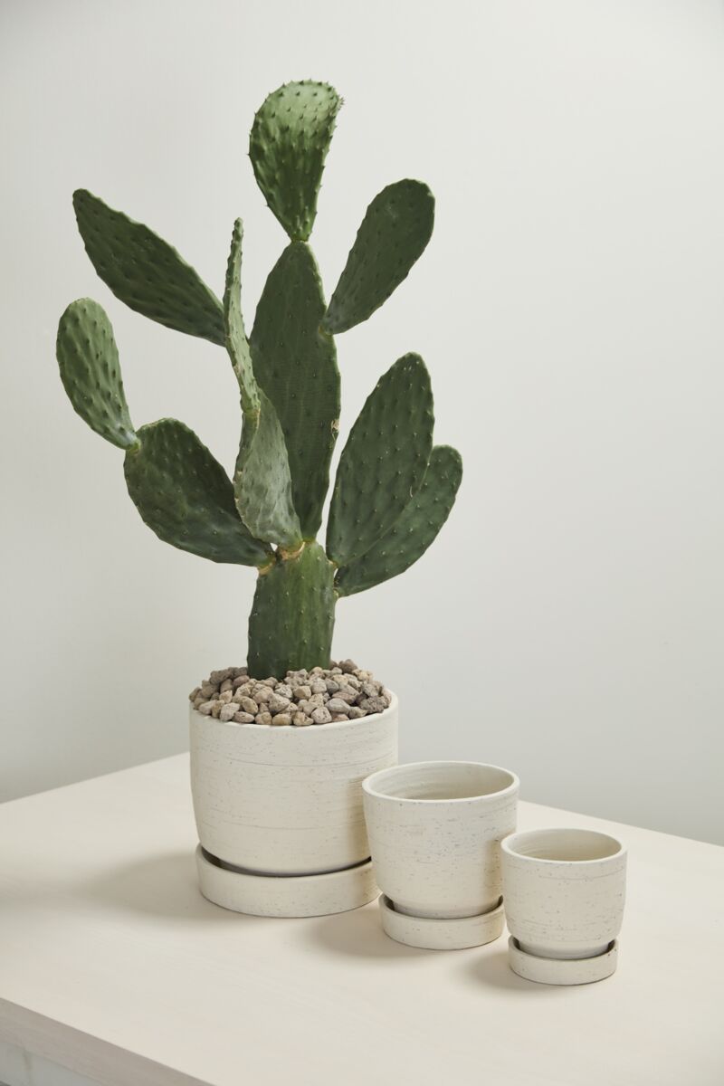 Design Shop Salvage Pot with Saucer 8"x 8"