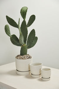 Design Shop Salvage Pot with Saucer 8"x 8"