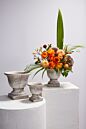 Design Shop Sanctuary Urn 5.75"x 5.75"