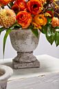Design Shop Sanctuary Urn 5.75"x 5.75"