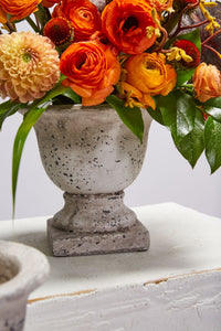 Design Shop Sanctuary Urn 5.75"x 5.75"