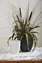 Design Shop Sasso Vase 11.75"x 5.5"x 11.75"
