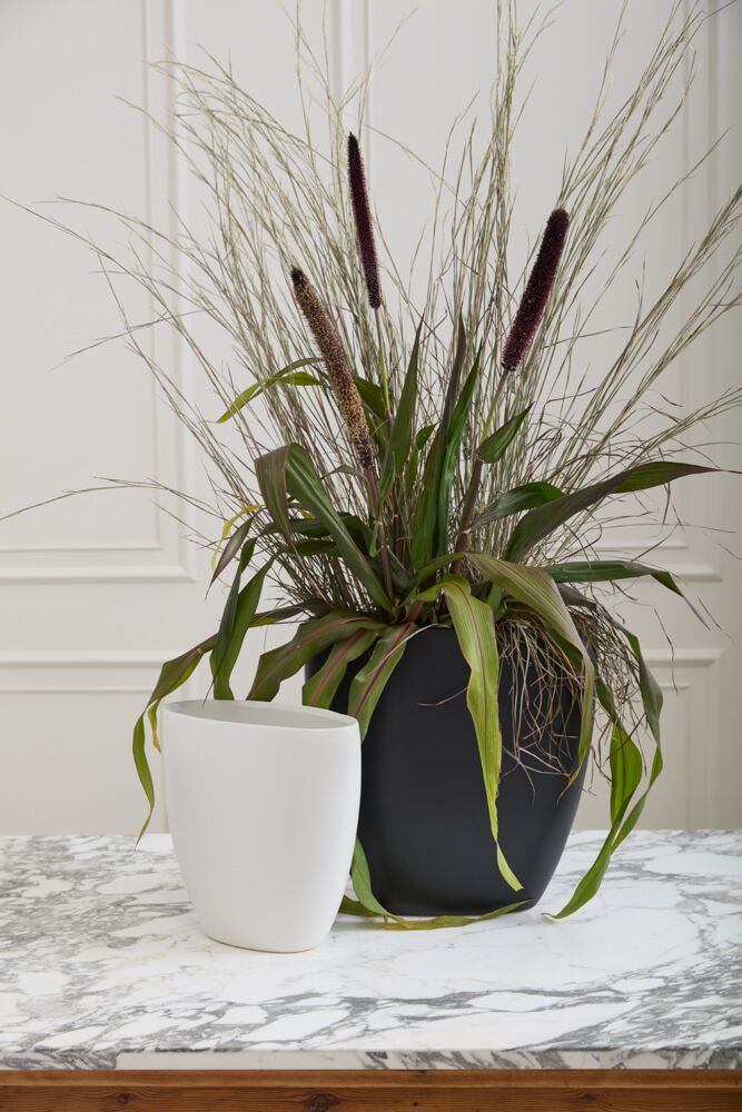 Decorative plant arrangement in a black vase on a marble surface with a white wall background