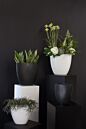 Design Shop Sasso Vase 11.75"x 5.5"x 11.75"