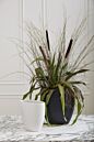 Design Shop Sasso Vase 11.75"x 5.5"x 11.75"