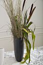 Design Shop Sasso Vase 11.75"x 5.5"x 11.75"