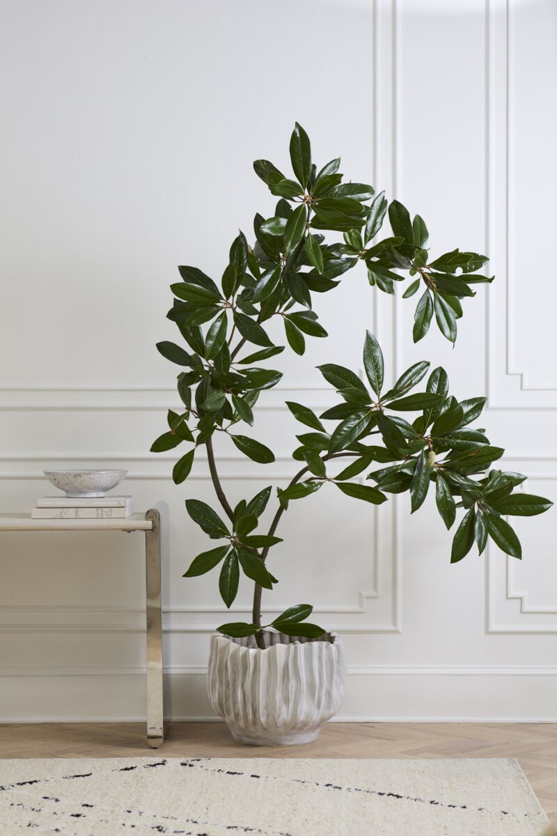 Design Shop Scavo Pot 18.75"x 14"