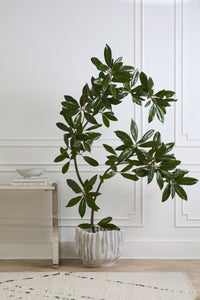 Design Shop Scavo Pot 18.75"x 14"